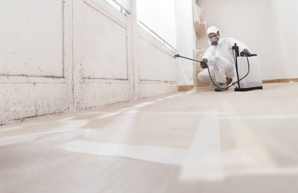 24/7 Emergency Basement Mold Remediation experts in Camden, TN